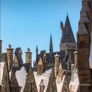 Meet your Posher, Rose